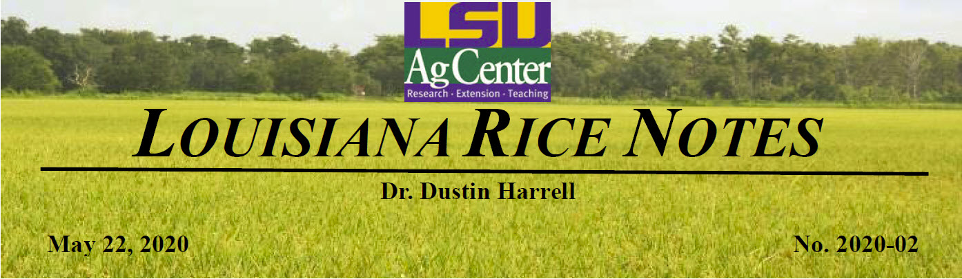 2020 Louisiana Rice Field Notes #2